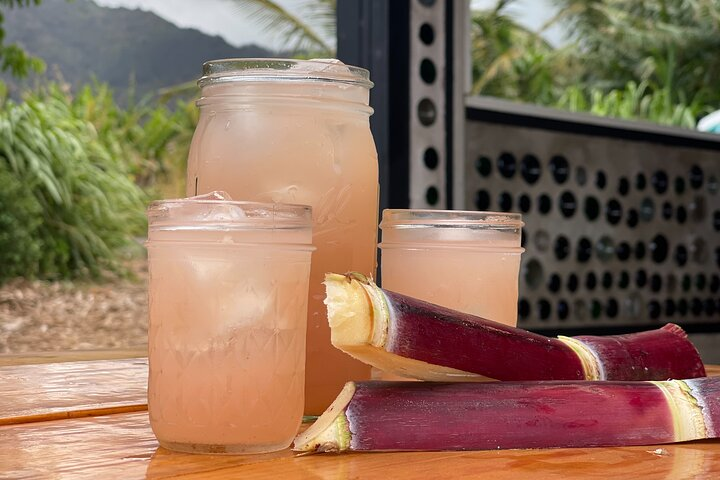 fresh pressed sugarcane juice 